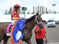 Todd Pletcher: Are We Audible At Meydan?