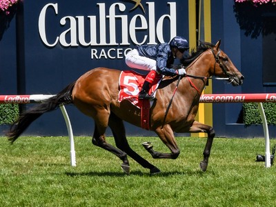 Preview: Inglis Easter Yearling Sale 2019 Image 1