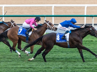 Review: Gr.1 Al Quoz Sprint Image 2