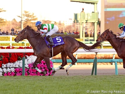 Preview: Gr.1 Satsuki Sho (Japanese 2000 Guineas) Image 1