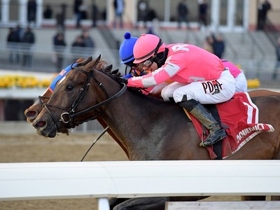 Preview: Kentucy Derby (Race Result 2018, Race Video 2018, R ... Image 2