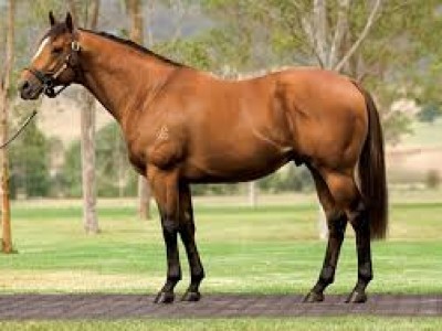 Preview: Inglis Great Southern Sale Image 1