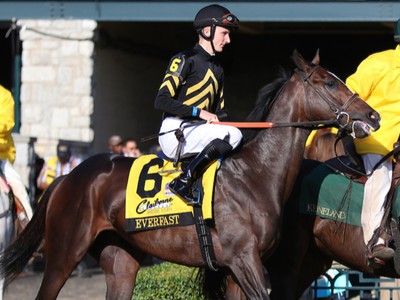 Preview: Gr.1 Belmont Stakes (Race Info, Race Result, Race V ... Image 2