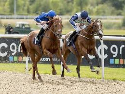 Review: Day Two – Royal Ascot (race Result, Race Video, Race ... Image 4