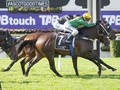 Breeding The Best Of Black Type Winners At Yarradale