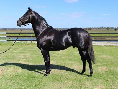 Geisel Park Stud: Breeding On The Perfect Farm Image 1