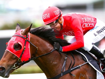 Secret To Winning The Everest Making Sure Redzel Is As Happy ... Image 1