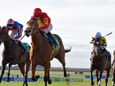 Preview: Irish Oaks (Race info, Racevideo, Raceresult 2018,  ... Image 1