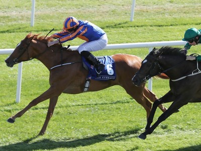 Preview: Irish Oaks (Race info, Racevideo, Raceresult 2018,  ... Image 2