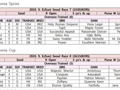 Preview: Korea Sprint &amp; Korea Cup ( Horses, Racecard, 2018 V ... Image 2