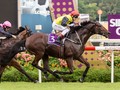 Cliff Brown: Sourcing Only The Best For Singapore Racing