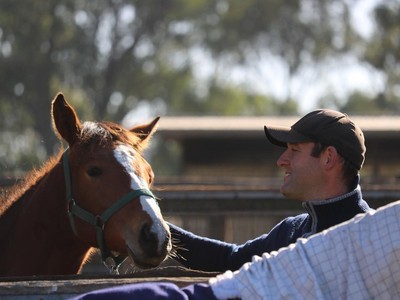 Hinnerk Hueppe: Happy horses are always better athletes Image 2