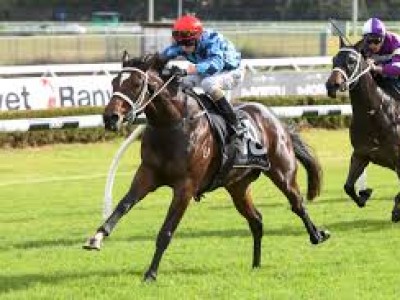 Preview: Gr.1 Flight Stakes 2019 ( Horses, Racecard, 2019 Vi ... Image 1