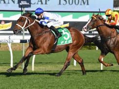 Review: Epsom Handicap 2019 ( Horses, Racecard, 2019 Video) Image 1