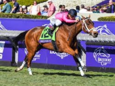 Review: Gr.1 Breeders' Cup Future Stars Friday Raceday 2019  ... Image 3