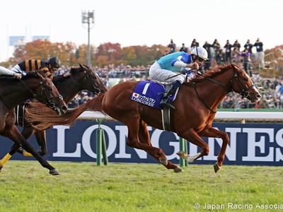 Preview: Gr.1 Japan Cup 2019 ( Horses, Racecard, 2019 Video) Image 5