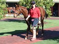 In Conversation With Stud Manager At The Historic Baramul Stud, Paul Thompson