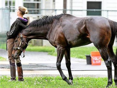 The Prince and His Fellowes On The Road To Melbourne Cup 202 ... Image 1