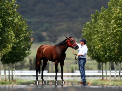 In Conversation With Arrowfield Stud Going For The Ten Milli ... Image 1