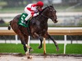 Omaha Beach Back On Track For Pegasus After Foot Issue