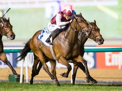 Review: Al Fahidi Fort (Racing Video, Race Result, Race Info ... Image 1