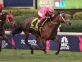 Preview: Pegasus World Cup Turf 2020 (Race Video, Runner List, Race Info)