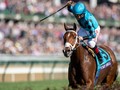 Two-time Breeders' Cup Winning Stormy Liberal Retired At Old Friends
