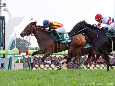 Preview: Gr.1 Takamatsunomiya Kinen (Runners list, Racing Vi ... Image 3