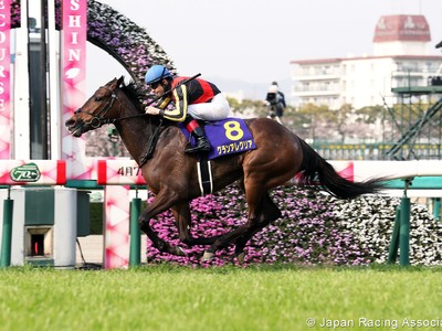 Preview: Gr.1 Takamatsunomiya Kinen (Runners list, Racing Vi ... Image 4