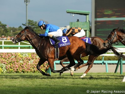 Preview: Gr.1 Takamatsunomiya Kinen (Runners list, Racing Vi ... Image 2