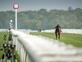 Goffs Doncaster Breeze-Up Sale Moves To Royal Ascot Week In London