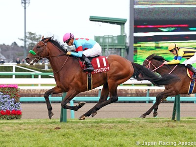 Preview: Gr.1 Osaka Hai (Runner List 2020, Racing Video, Rac ... Image 1