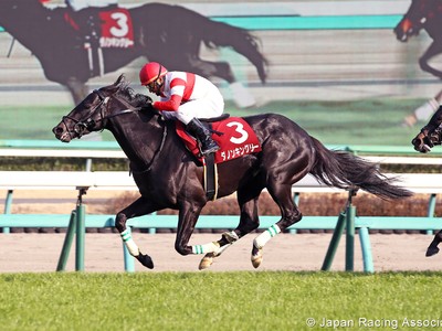 Preview: Gr.1 Osaka Hai (Runner List 2020, Racing Video, Rac ... Image 3