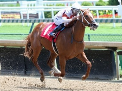 Preview: Juvenile Turf Sprint 2020 ( Horses, Racecard, 2019  ... Image 2